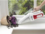 Aspiratore Dustbuster Azione Ciclonica
