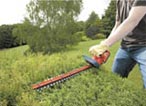 Tagliasiepi Bosch GTC610