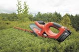 Tagliasiepi Bosch GTC610