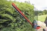 Tagliasiepi Bosch GTC610