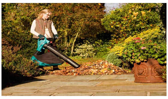 Comoda aspirazione delle foglie Aspiratore da Giardino ...