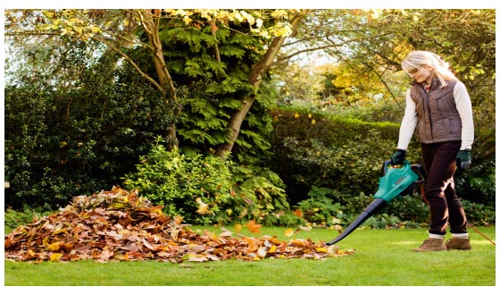 Maneggevolezza sicura e senza fatica dellì'Aspiratore da Giardino ...