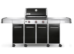Barbecue Genesis E310