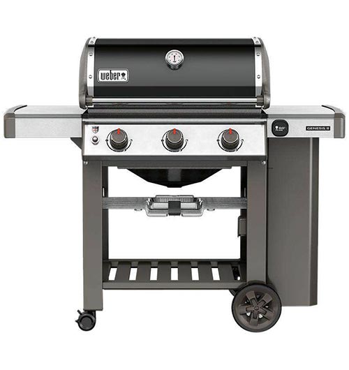 Barbecue a Gas Weber Genesis struttura ...