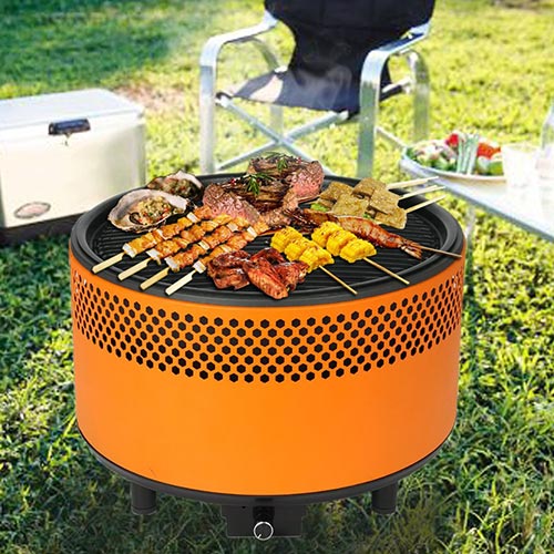 Barbecue a Gas Campingaz Expert 2 Plus cottura cibi ...