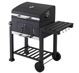 Barbecue robusto