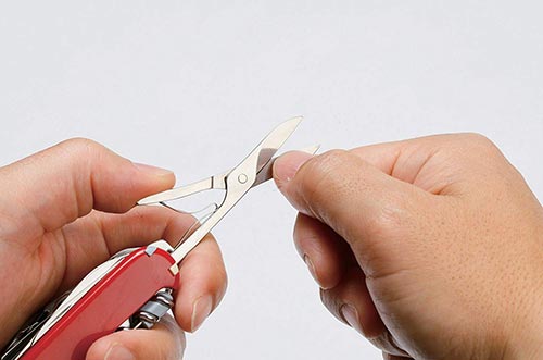 Coltello Scalatore affilatura ...