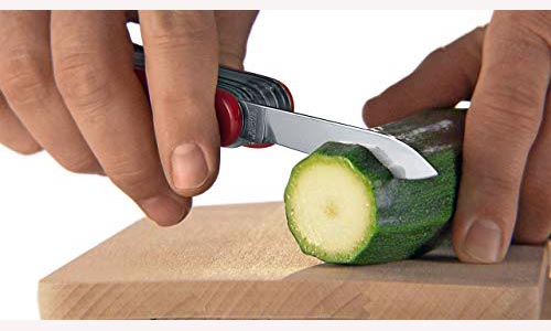 Coltello Victorinox mini champ funzionamento ...