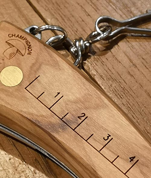 Coltello da Funghi misure legno ...