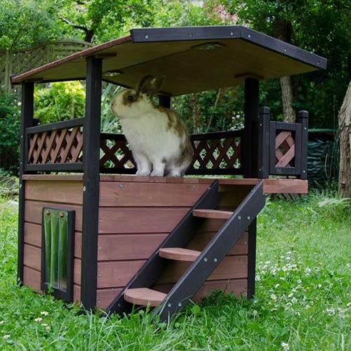 Cucce per Cani Maisonette utilizzo ...