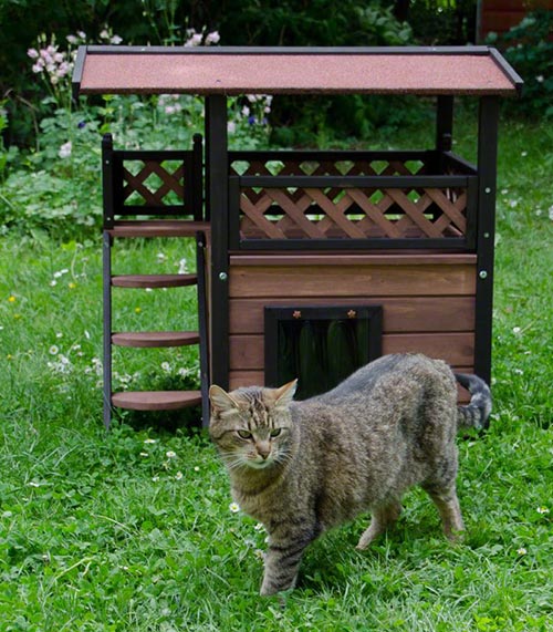 Cucce per Cani Maisonette caratteristiche ...