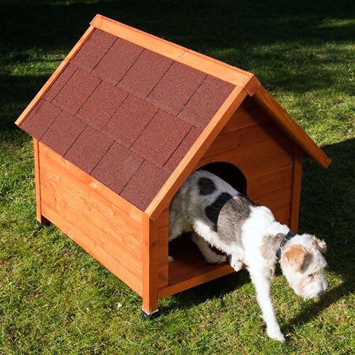 Cucce per Cani Spike Premium Classic piedini utilizzo ...