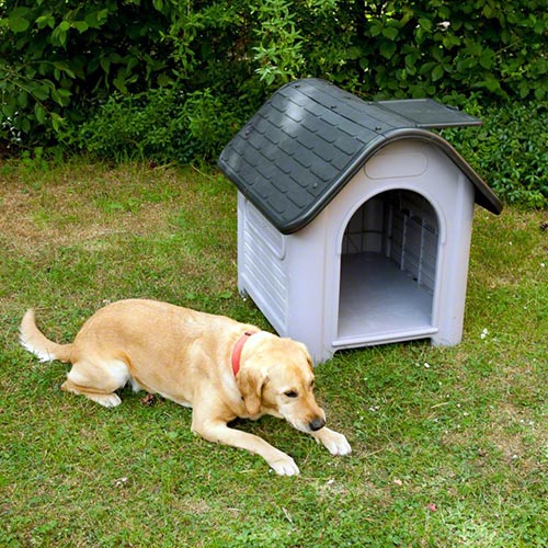 Cucce per cani in plastica funzionamento ...