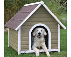 Cuccia per cani Spiovente
