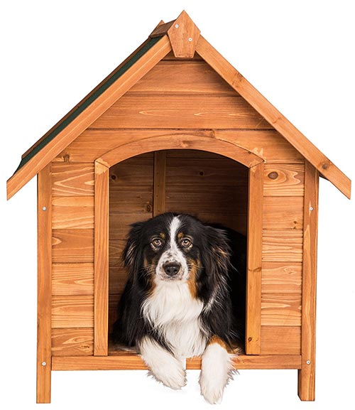 Cuccia per cani Grande XXL struttura ...