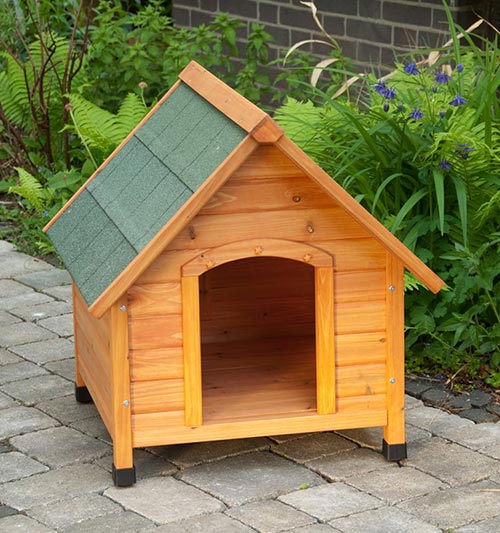 Cuccia per cani Spike Comfort struttura ...