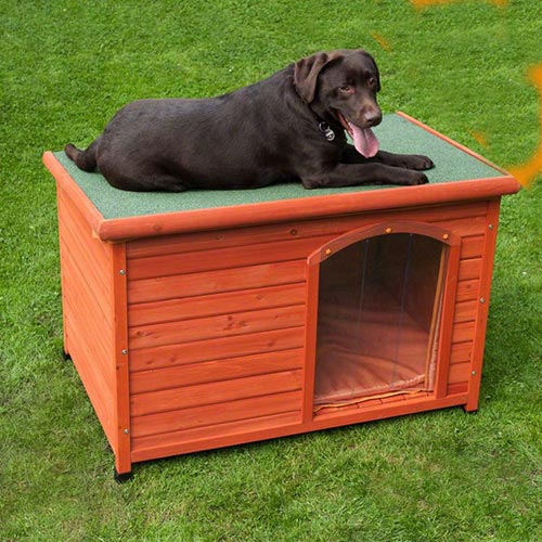 Cuccia per cani con porta caratteristiche ...