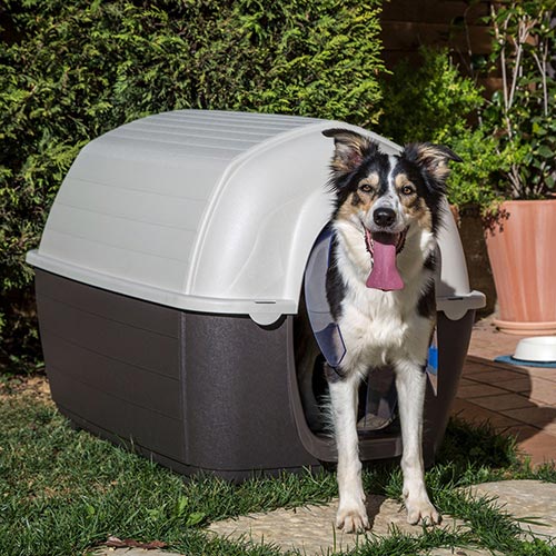 Cuccie per Cani kenny mini applicazioni ...