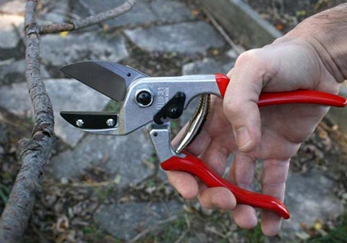 funzionamento della Forbice Felco 31 ...