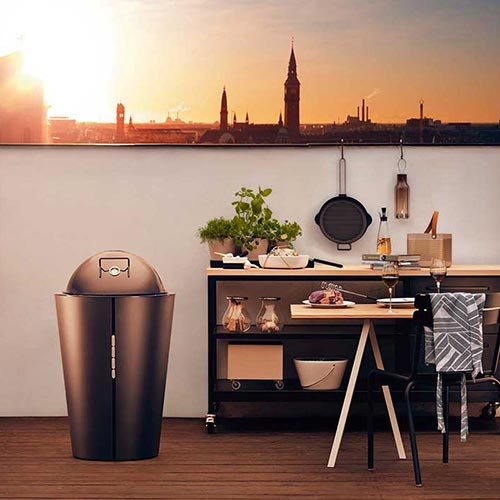 Grill a Gas Eva Solo impiego ...