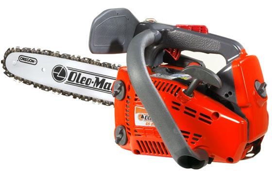 Caratteristiche della Motosega Potatura GS 260 ...