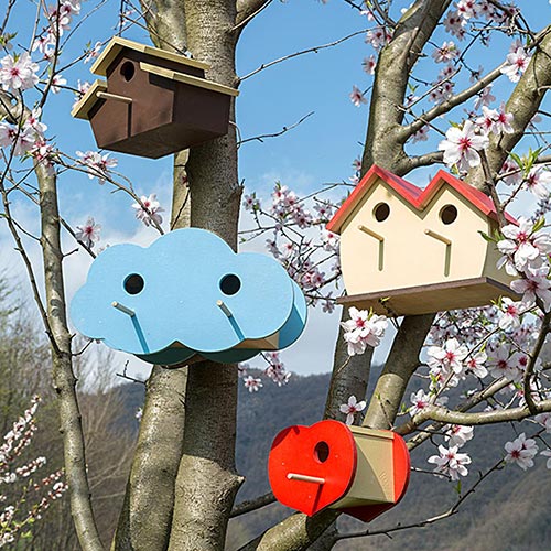Nido Nest utilizzo ...
