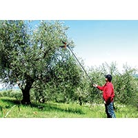 Scuotitore olive ad aria compressa