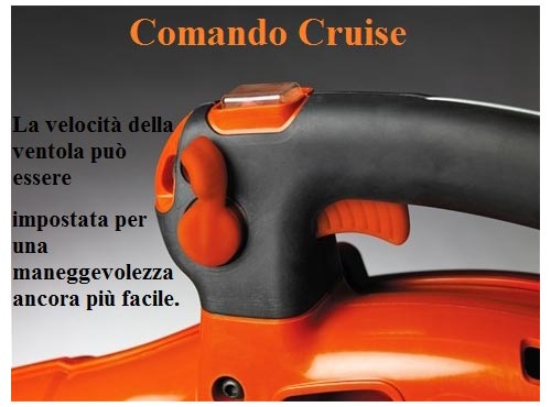 Soffiatore 125B comandi ...