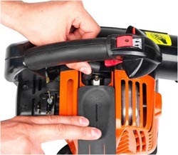 Particolare del Soffiatore Scoppio PB-252 ...