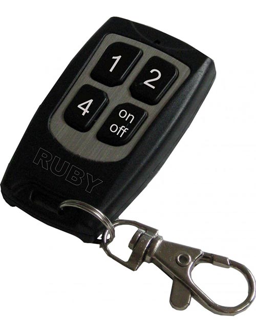 Stufe a bioetanolo Ruby telecomando ....