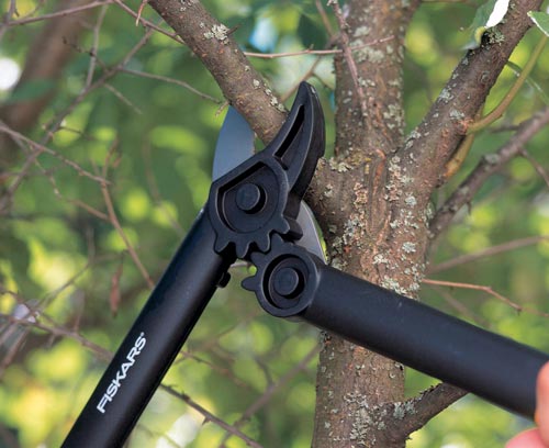 ingranaggi del Troncarami Fiskars PowerGear ...