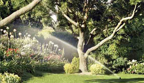 Irrigazione del giardino che viene razionalizzata e costante, renderà il giardino più bello e vitale ...