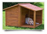 Cuccia per cani