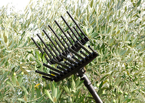 Abbacchiatore MG Magnesium funzionamento raccolta olive ...