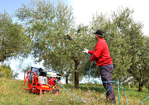 Abbacchiatore MG Magnesium vantaggi raccolta olive ...