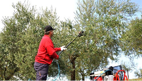 Abbacchiatori pneumatici estendibili funzionamento raccolta olive ...