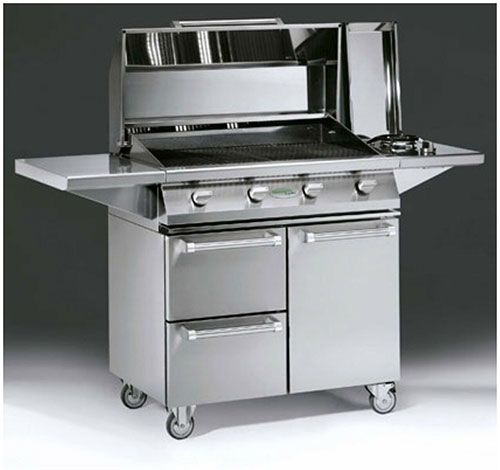 Barbecue a Gas portatile Alain cottura piastra struttura ...