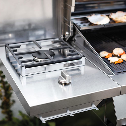 Barbecue a Gas portatile Alain cottura regolazioni cottura ...