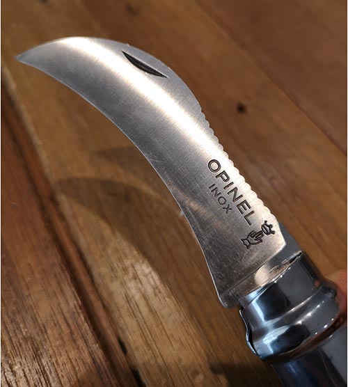 Coltello da Funghi N°08 lama inox ...
