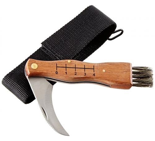 Coltello per funghi in legno caratteristiche ...
