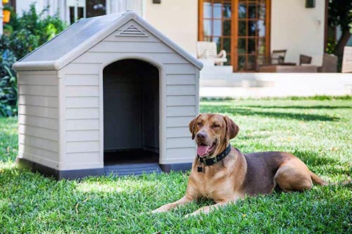 Cuccia cane KETER in plastica caratteristiche funzionamento ...