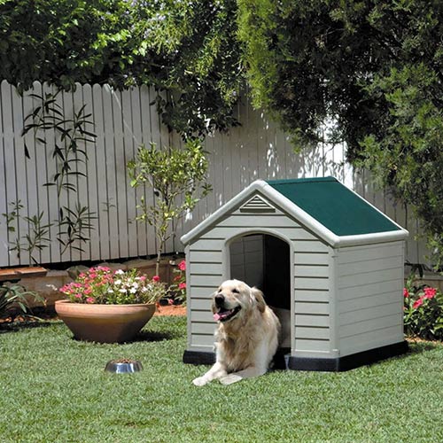 Cuccia per cani KETER in plastica funzionamento cane ...