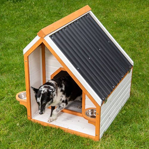 Cuccia per cani Modern Living Palma utilizzo cane ...
