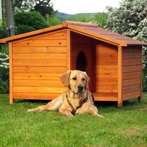 Cuccia per cani Spike Special funzionamento ...