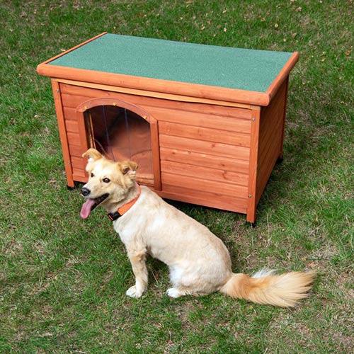Cuccia per cani Woody con tetto piano funzionamento ...