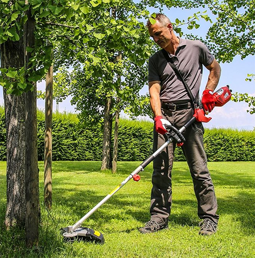 Decespugliatore elettrico Valex DE2700 funzionamento taglio erba prato ...