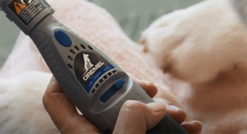 Dremel VERSA funzionamento ...