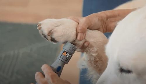 Dremel VERSA levigatura unghie cane ...