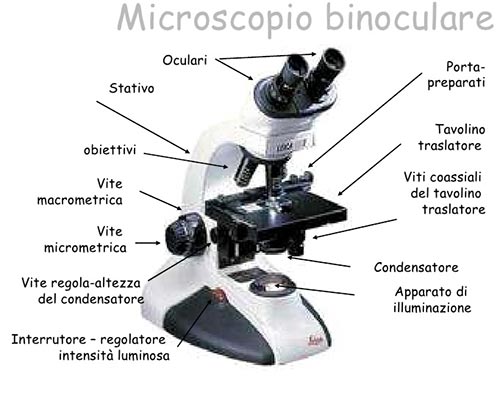 Microspopio Binoculare descrizioni tecniche ...