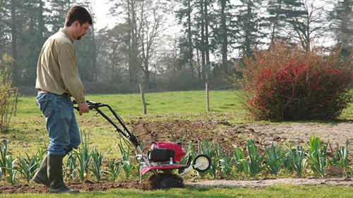 Motozappa Piccola Honda funzionamento campo ...